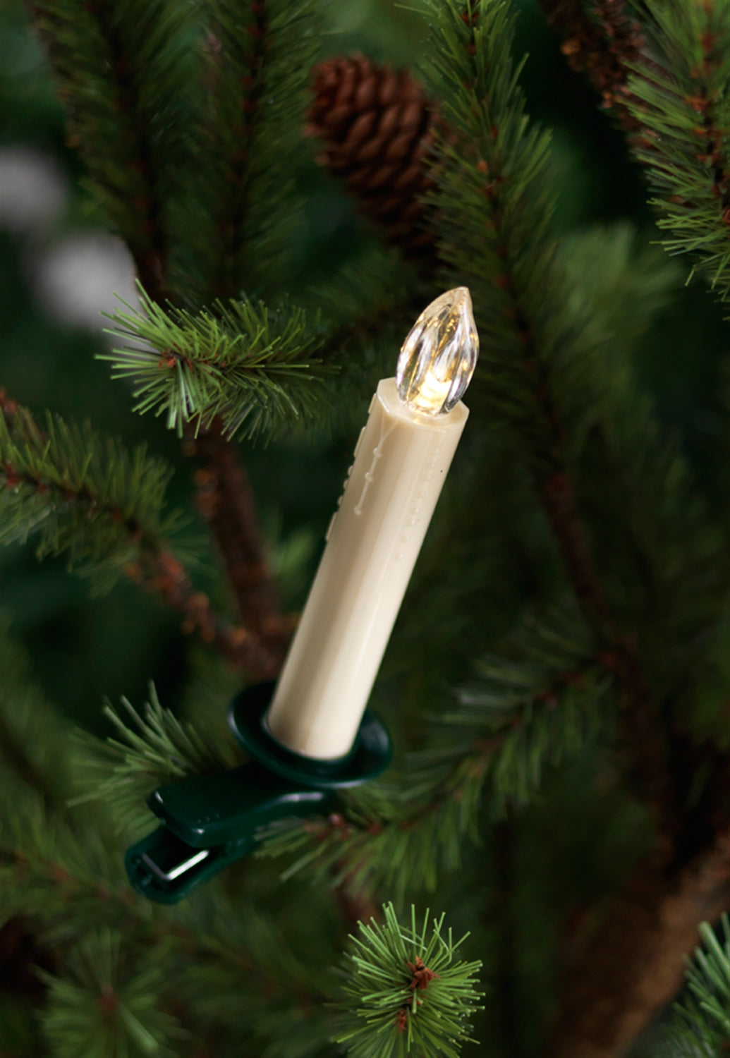 Tree Taper Candle (Set of 12) w/Remote