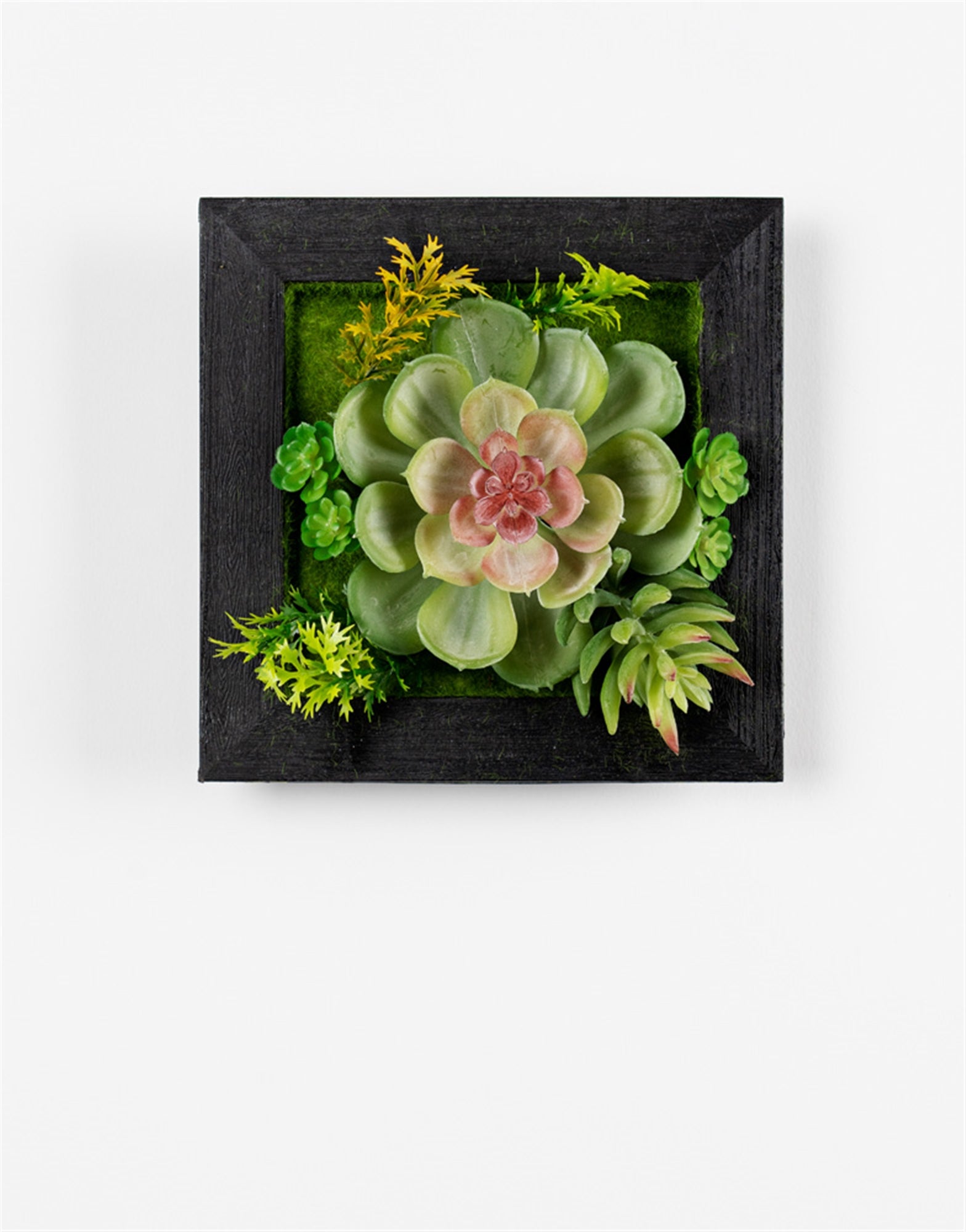 succulent hanging box Hanging Succulent Box Wall Decor (Set of 6)