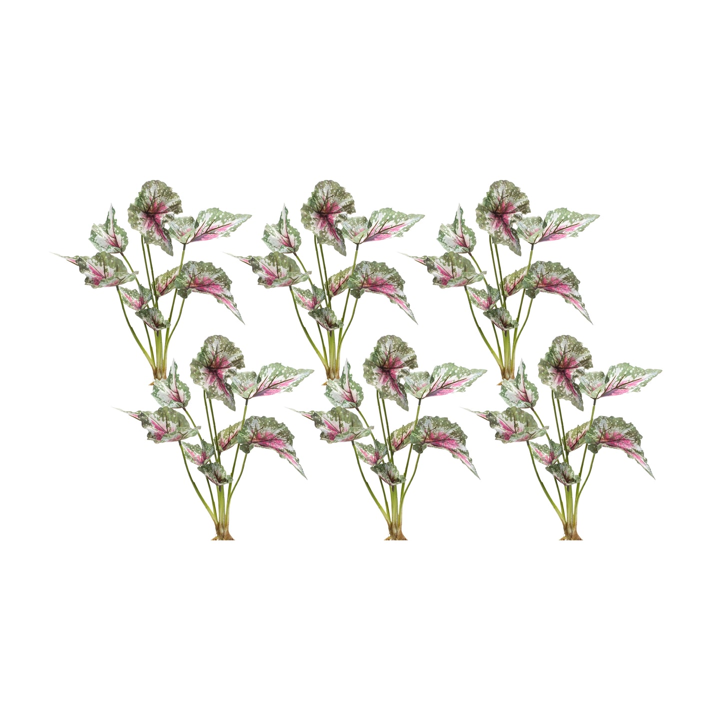 Caladium Bush (Set of 6) 18.5"H Polyester