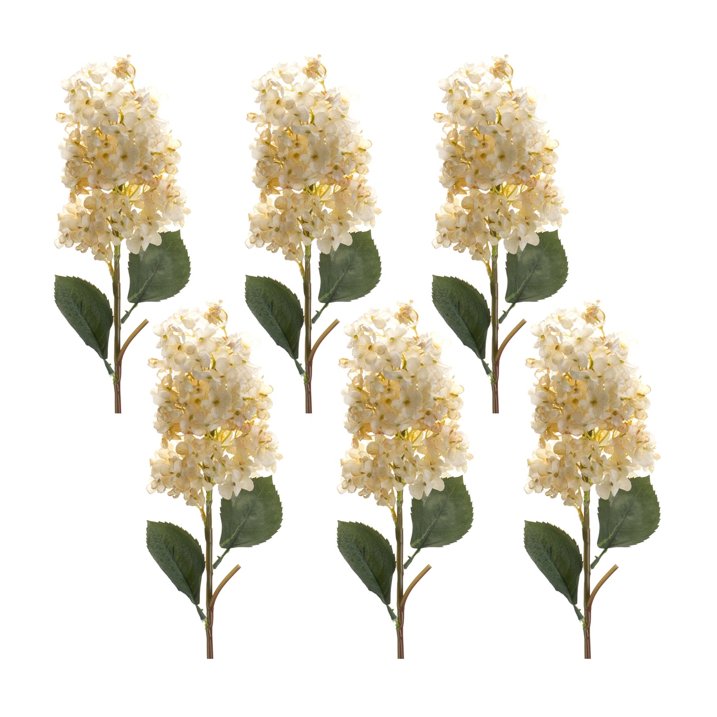 Cone Hydrangea Stem (Set of 6) 34.5"H Polyester