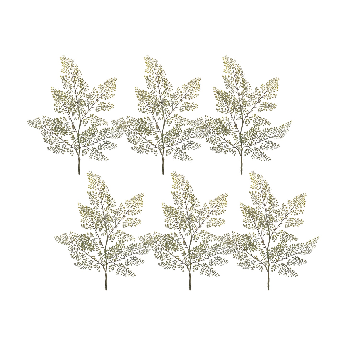 Maiden Hair Fern Spray (Set of 6) 30.5"H Plastic