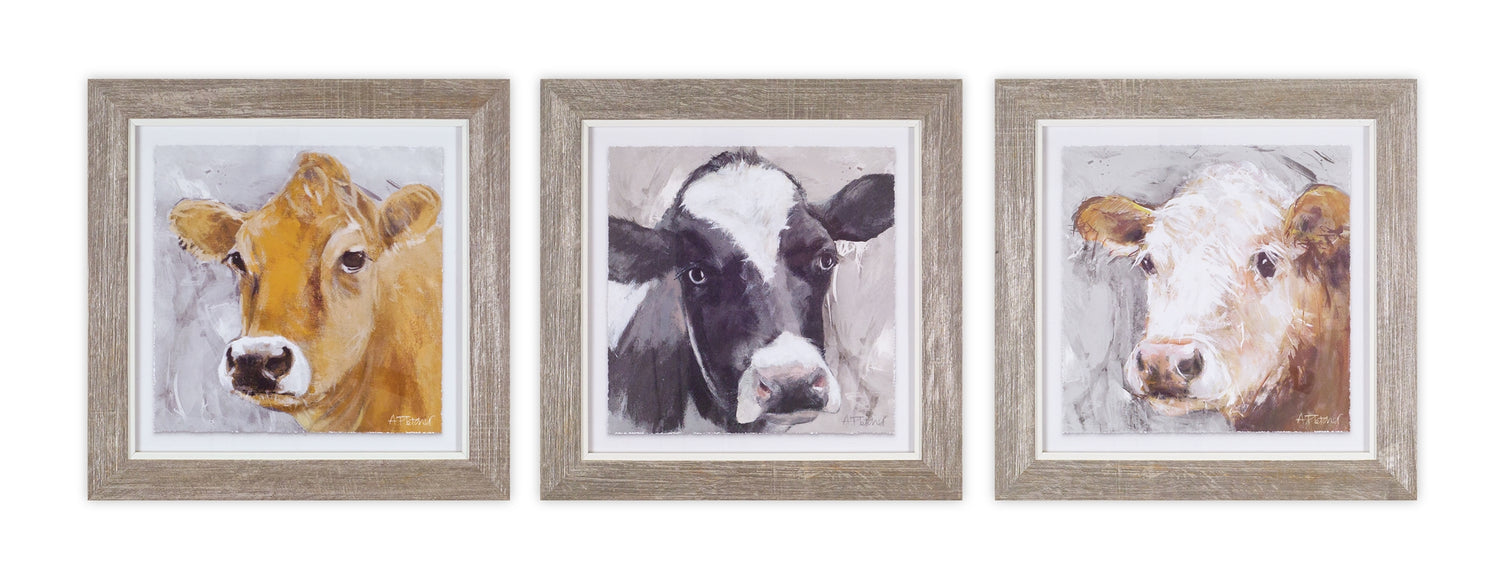 Framed Cow Print (Set of 3) 10"H Wood/Glass
