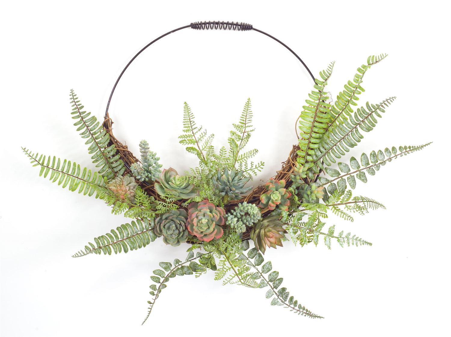 Fern and Succulent Wall D‚àö¬©cor 24.5" x 19.25"H Plastic/Wire