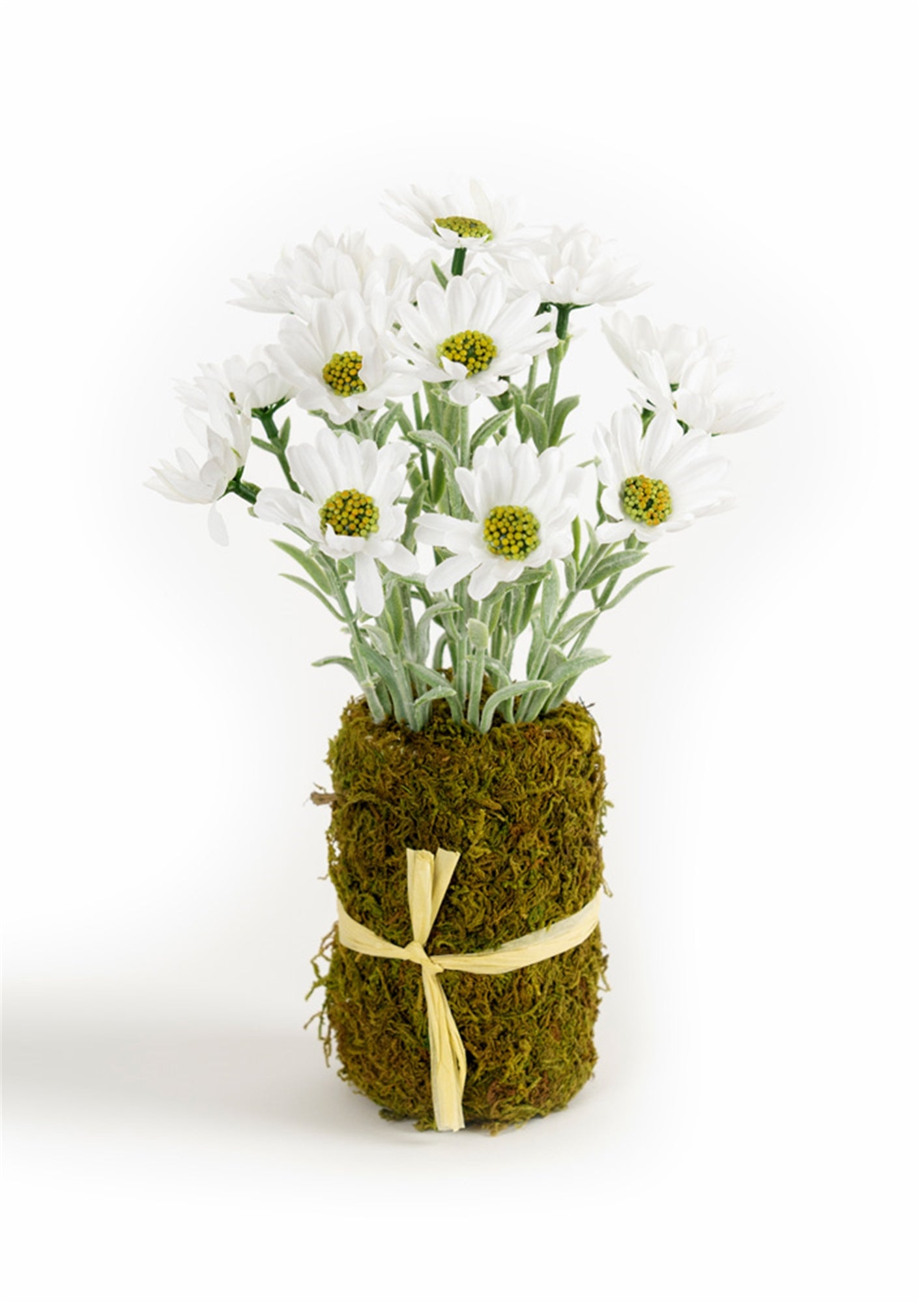 Floral Vase Insert (Set of 6) Polyeseter/Plastic 10"