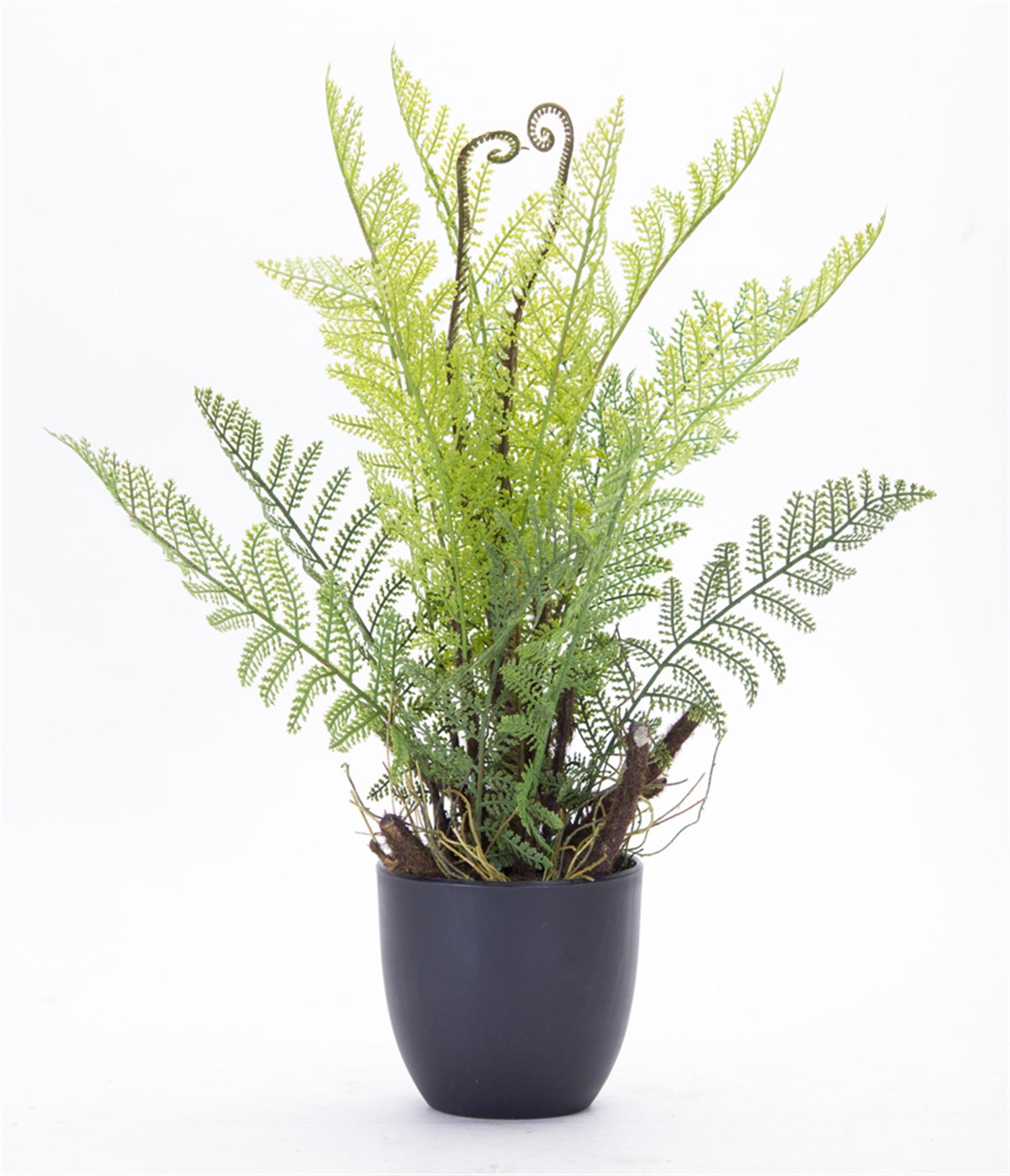 Fern Potted (Set of 2) 11" x 18"H Plastic