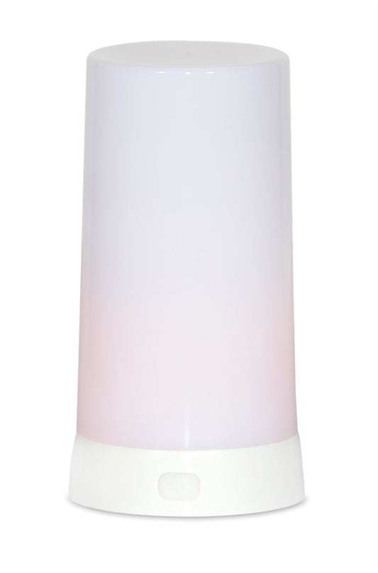 LED Flickering Light w/6 Hr Timer (Set of 2) 5"H Plastic (USB charger not included)