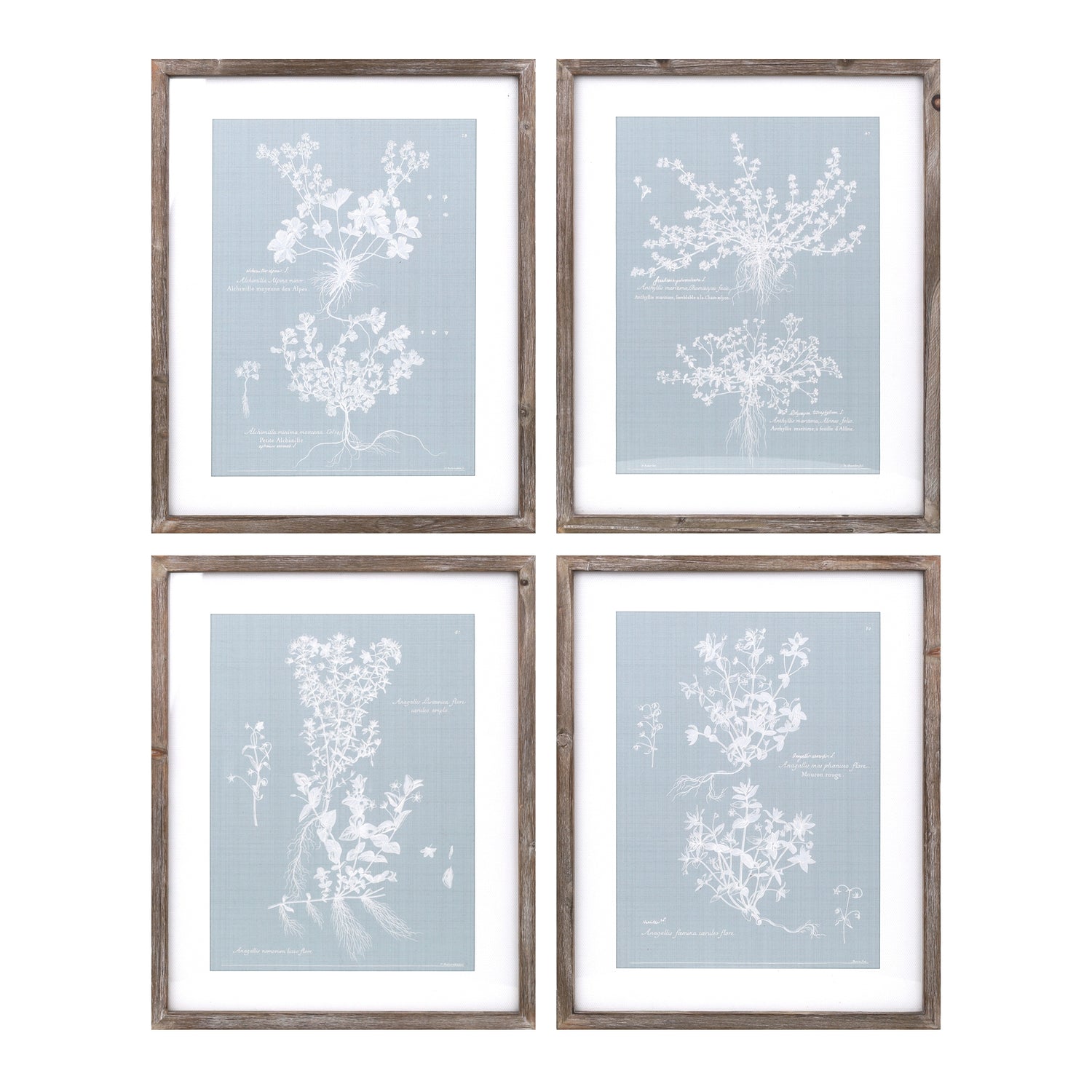 Floral Print (Set of 4) 15.75"L x 19.5"H MDF/Wood/Paper/Glass