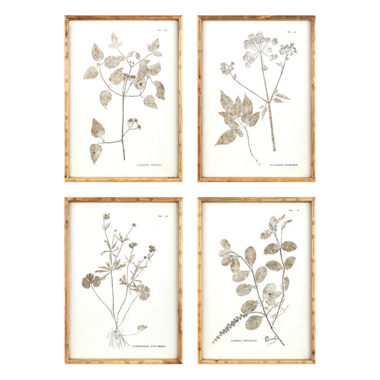 Floral Print (Set of 4) 19.5"L x 27"H MDF/Wood/Paper/Glass