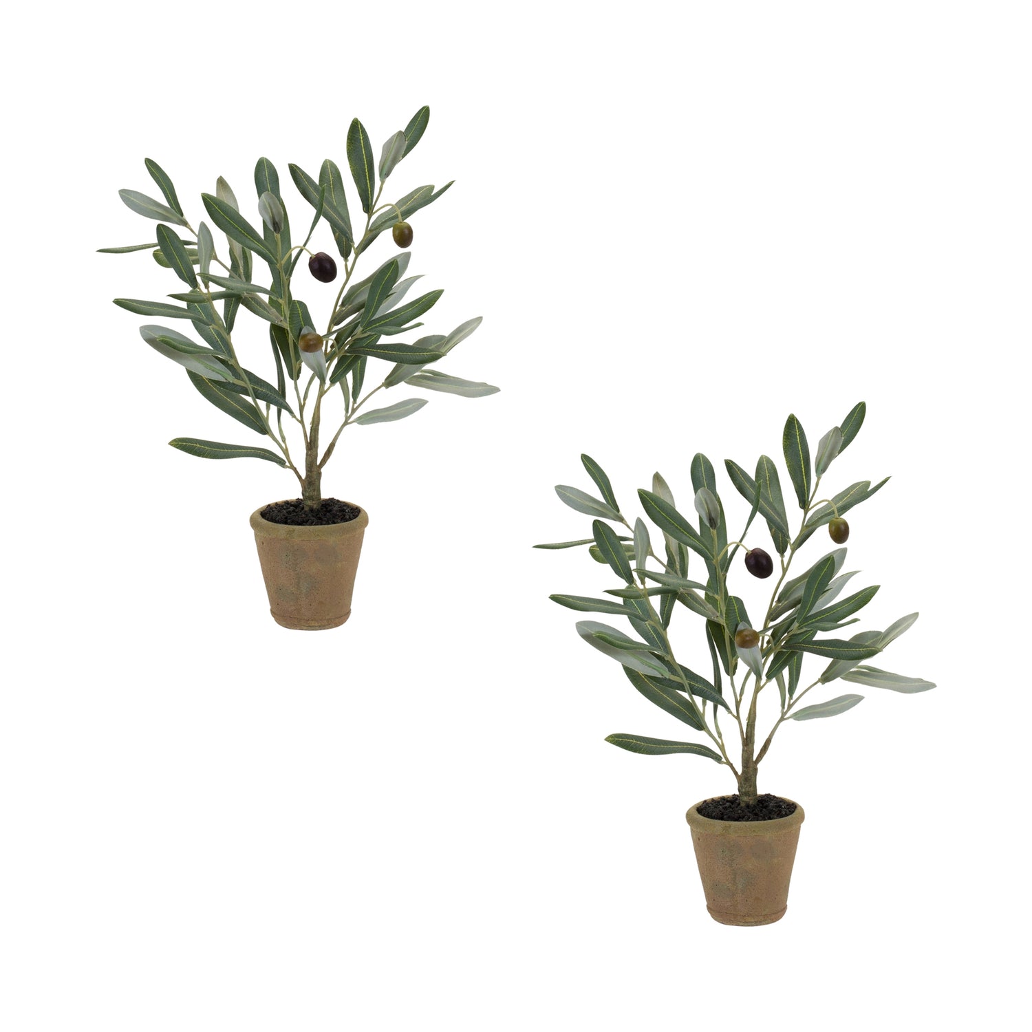 Potted Olive Plant (Set of 2) 13.5"H Polyester
