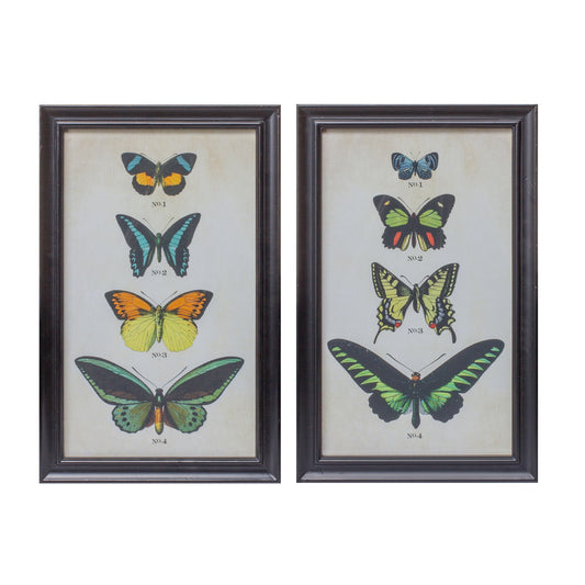 Framed Butterfly Print (Set of 2) 11.25"L x 18.25"H Wood/Glass