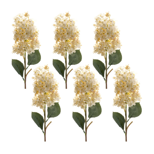 Cone Hydrangea Stem (Set of 6) 34.5"H Polyester